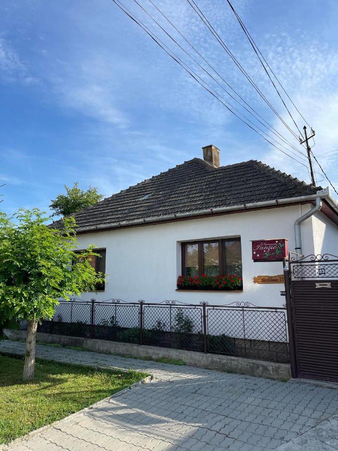 Gyongyver Panzio Sfântu-Gheorghe Buitenkant foto
